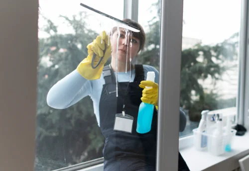 Nettoyage de vitres intérieures et extérieures à Verruyes